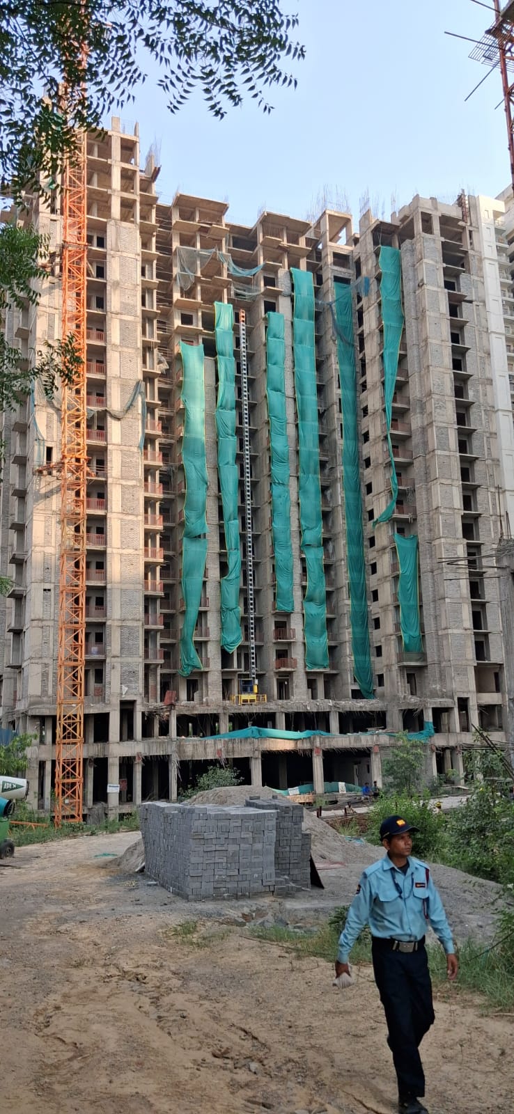Colours Avenue Vertical Progress 1